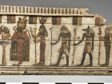 El caso más destacado es el de la moringa, cuyo árbol se consideraba una de las encarnaciones o manifestaciones del dios Ptah. EFE
