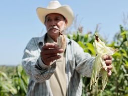 Las autoridades locales confirmaron al menos 14 récords de temperatura durante el mes de agosto. EFE / R. Sura