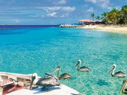 Bonaire, la isla de los arrecifes infinitos