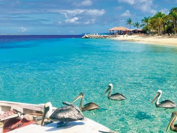 Bonaire, la isla de los arrecifes infinitos