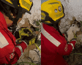 De acuerdo con el reporte, el felino no presentaba daños aparentes tras el rescate. FACEBOOK /PROTECCIÓN CIVIL Y BOMBERO GDL