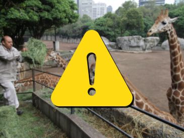 Estas son las malas condiciones del Zoológico de Chapultepec, según PETA Latino. SUN / ARCHIVO