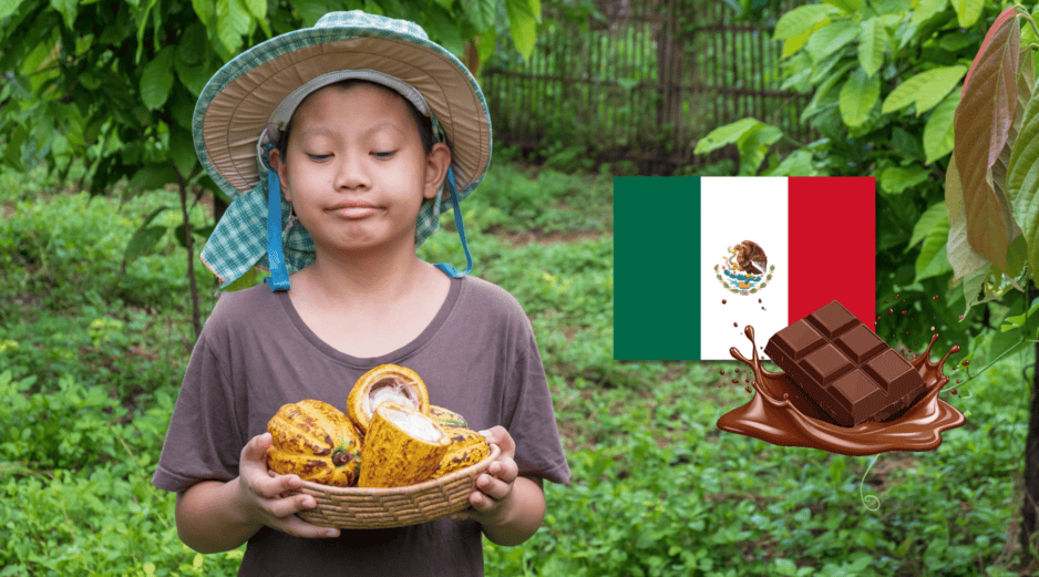 Cada 2 de septiembre, la conmemoración del Día Nacional del Cacao y el Chocolate recuerda la profunda relación entre este cultivo y la historia de México, así como la importancia de preservar una tradición que ha trascendido generaciones y fronteras. CANVA