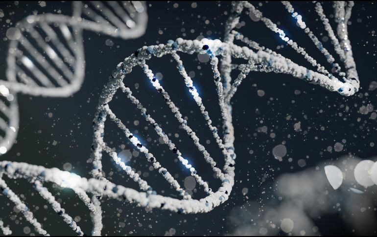 El estudio es un metaanális de los resultados de estudios de asociación del genoma completo (GWAS) de 46 cohortes de todo el mundo, . Unsplash