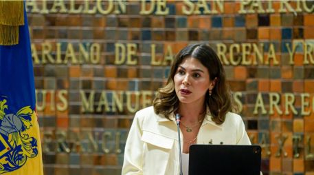 La diputada de Movimiento Ciudadano, Mónica Magaña, explicó en qué consiste esta nueva legislación. ESPECIAL