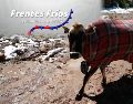 El pronóstico presentado por el SMN señala que algunos de los estados que podrían verse más afectados por los frentes fríos se encuentran principalmente en el norte de México. ESPECIAL / EL INFORMADOR y Conagua