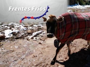 El pronóstico presentado por el SMN señala que algunos de los estados que podrían verse más afectados por los frentes fríos se encuentran principalmente en el norte de México. ESPECIAL / EL INFORMADOR y Conagua
