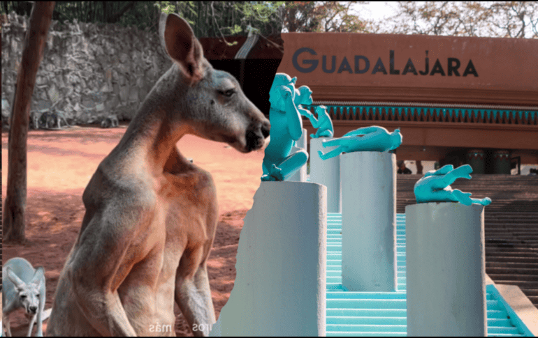 Un canguro rojo llamado 