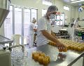 Desde hace siglos, distintas sociedades han recurrido a técnicas para conservar, transformar y hacer más seguros los alimentos. EFE / ARCHIVO