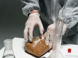 Un informe reciente del Observatorio Francés de las Drogas y las Tendencias Adictivas (OFDT) señala que los puertos franceses, especialmente el de Le Havre, se han posicionado en la 