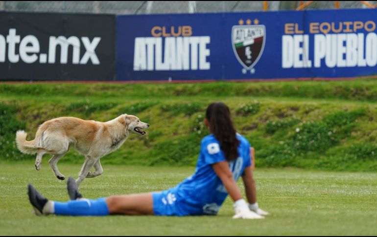 El can entró al terreno de juego durante los primeros minutos del segundo tiempo y recorrió la cancha del CAR del Atlante. IMAGO7