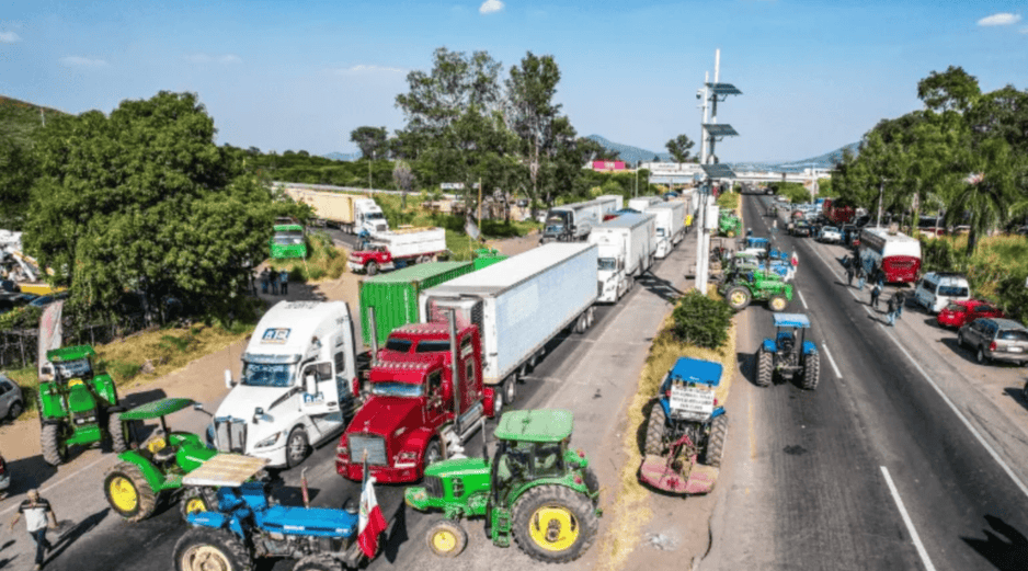 Los productores del campo lamentaron que la industria harinera esté contratando solamente el 25% de la producción total de maíz. EL INFORMADOR / ARCHIVO