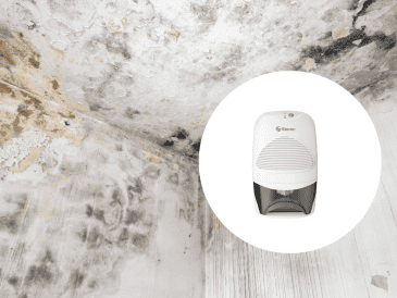 Aprende a fabricar un deshumidificador casero con materiales accesibles. Una solución práctica para combatir el moho, mejorar la calidad del aire y proteger tu hogar sin incrementar el consumo eléctrico. ESPECIAL