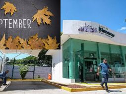 El penúltimo pago del año de la Pensión Bienestar comenzó a entregarse el pasado 1 de septiembre y, como ocurre habitualmente, la dispersión se realiza de acuerdo con un calendario establecido por letra. ESPECIAL / EL INFORMADOR y CANVA