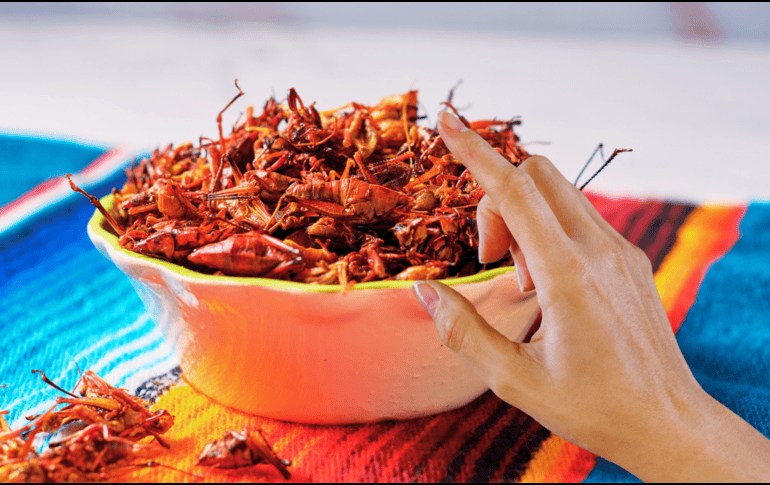 El valor nutricional de los chapulines es verdaderamente sorprendente cuando se compara con fuentes de origen animal tradicionales. ESPECIAL / CANVA