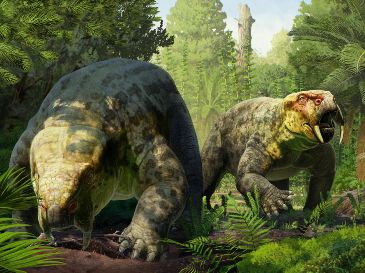 La nueva especie ha sido descrita por un equipo encabezado por la Universidad de Bristol. EFE / G. Ugueto /  Universidad de Bristol