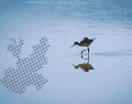 La Laguna de Sayula, por ejemplo, es un ecosistema vivo que alberga a decenas de especies migratorias anualmente. ESPECIAL /CANVA