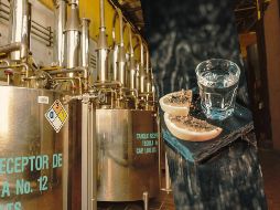 La directora general de la Cámara Nacional de la Industria Tequilera expuso que los destilados viven una etapa complicada a escala global. NTX / ARCHIVO / UNSPLASH / H. Reyes