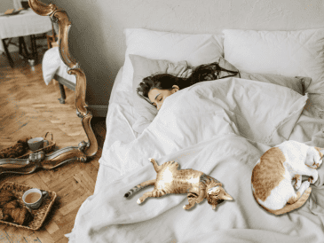 Aunque cada gato tiene una personalidad diferente, esta conducta suele estar asociada a emociones positivas y a una relación de confianza consolidada. CANVA