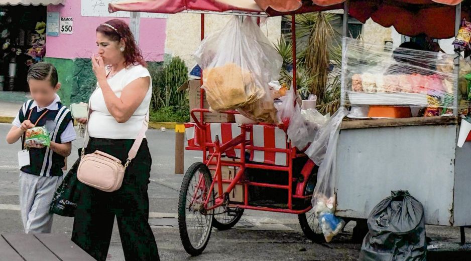 El consumo de alimentos con exceso de azúcares, grasas y sodio, se asocia con riesgos para la salud infantil. Ante la venta de estos productos en los alrededores de las escuelas, los Ayuntamientos deben reforzar la vigilancia y ordenar el comercio. EL INFORMADOR/A. Navarro