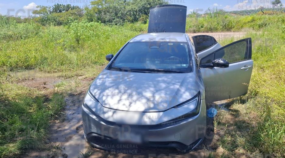 elementos de la Secretaría de la Defensa Nacional (Defensa) realizaban sus recorridos de vigilancia en Encarnación de Díaz, conocido como 