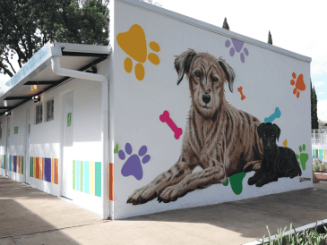 Esta infraestructura de primer nivel asegura que cada perro o gato rescatado reciba un tratamiento personalizado, preparándolos física y emocionalmente antes de ser integrados a una nueva familia. Gobierno de México