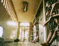 Los ingresos a prisión y el crecimiento neto de la población penitenciaria corresponden a etapas e indicadores diferentes del sistema de justicia penal. EL INFORMADOR/ARCHIVO