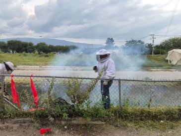 Personal especializado en apicultura de la Unidad de Rescate de Fauna Silvestre de Tlajomulco (URFST) participó en la atención del incidente. ESPECIAL