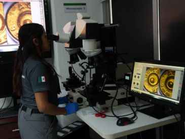 El Instituto Jalisciense de Ciencias Forenses mantiene acreditación internacional de sus laboratorios forenses. ESPECIAL/IJCF