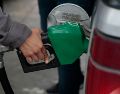 Los inventarios de gasolina se situaron en 204.3 millones de barriles en la semana terminada el 25 de septiembre. EL INFORMADOR/ARCHIVO