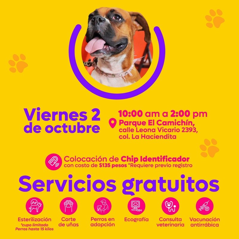 CORTESÍA/ Protección Animal Zapopan. 