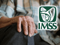 El pago se recorrerá de manera automática al siguiente día hábil. ESPECIAL/IMSS/Canva