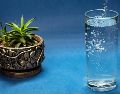 Elegir entre agua y suero oral depende del nivel de deshidratación. Unsplash