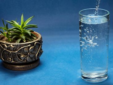 Elegir entre agua y suero oral depende del nivel de deshidratación. Unsplash