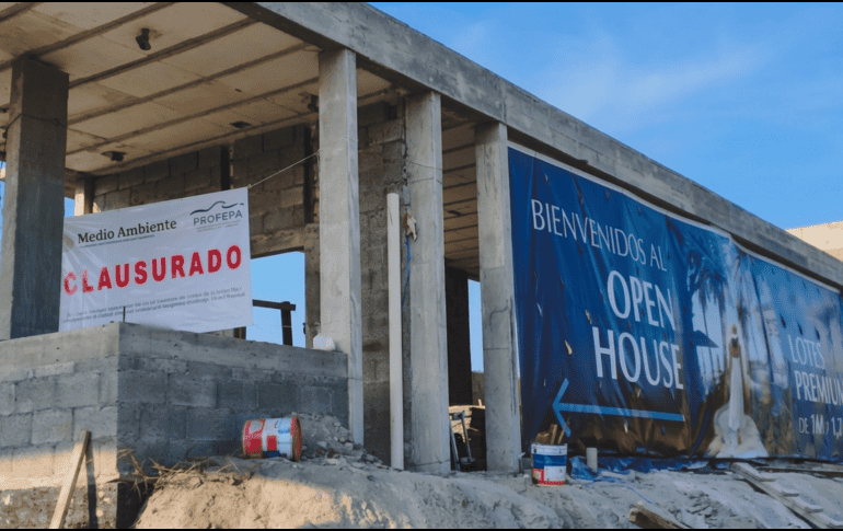 El municipio de Alvarado en el sur de Veracruz concentra una amplia diversidad de ecosistemas costeros. ESPECIAL / Profepa