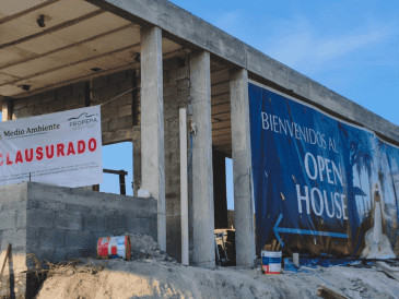 El municipio de Alvarado en el sur de Veracruz concentra una amplia diversidad de ecosistemas costeros. ESPECIAL / Profepa