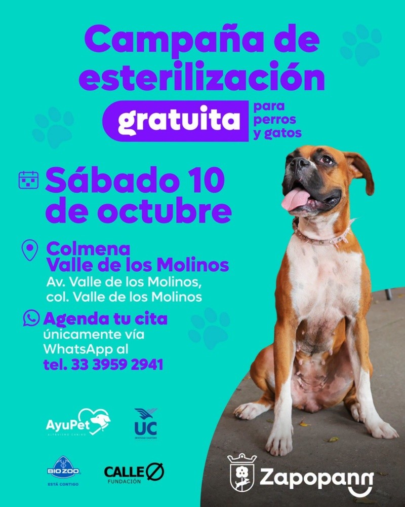 CORTESÍA/ Protección Animal Zapopan.