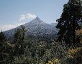 De acuerdo con el reporte matutino de Protección Civil, el sistema se intensificó a categoría 2. CORTESÍA/ Secretaría de Medio Ambiente y Desarrollo Territorial del Estado de Jalisco