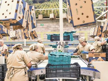 Jalisco generó 11 mil 581 empleos formales durante septiembre, tras las pérdidas registradas en agosto. ESPECIAL