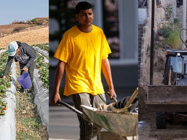Las y los latinos en edad de trabajar en EU están concentrados en empleos de bajos salarios, escasas prestaciones laborales y mayor riesgo de accidentes. SUN / EL INFORMADOR / ARCHIVO