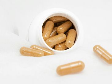 El microbioma intestinal, compuesto por billones de bacterias, regula el metabolismo y la función inmunológica. ESPECIAL / UNSPLASH Supliful - Supplements On Demand