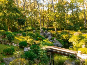 El Bosque los Colomos ofrece un respiro a quienes desean alejarse de la ciudad durante algunas horas. ESPECIAL