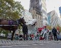 Kathleen Schatzmann, de la fundación Animal Legal Defense, calificó la votación como "el inicio de un enfoque más humano y seguro para el turismo en Nueva York". EFE/A. Colmenares