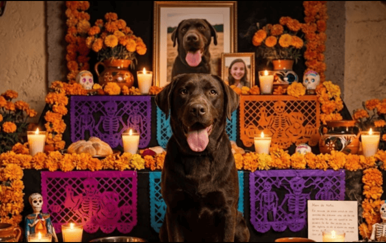 Homenaje virtual con herramientas tecnológicas que permiten crear emotivas ofrendas digitales para recordar a las mascotas fallecidas este 27 de octubre. IA/GEMINI
