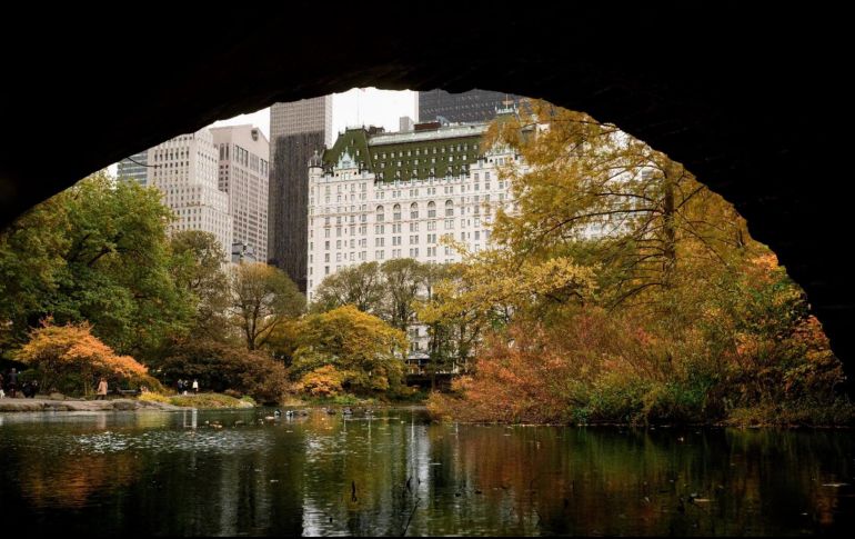 La conservación histórica del inmueble supone ciertas restricciones específicas para estas obras, razón por la que el hotel debe detener sus operaciones hasta que estas concluyan. FACEBOOK / THE PLAZA HOTEL