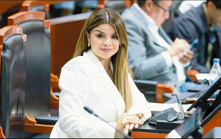 La diputada Gabriela Cárdenas urgió a la Comisión de Presupuesto a amparar los proyectos hídricos. ESPECIAL