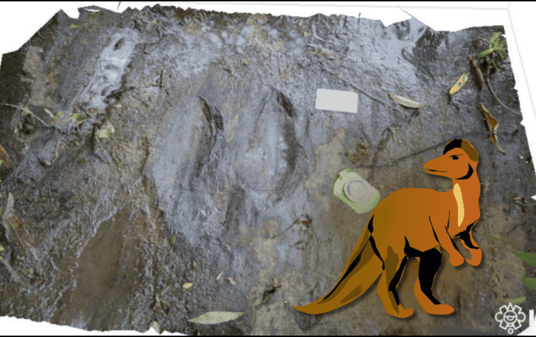 En este caso, las huellas podrían convertirse en una especie de mapa del movimiento de los dinosaurios que recorrieron aquella antigua región. CINAH Michoacán / ESPECIAL