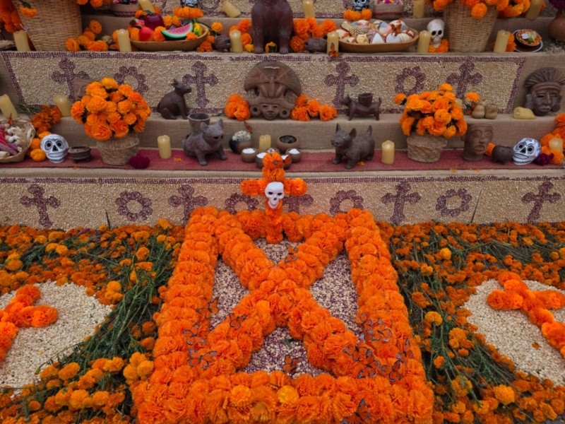 GOBIERNO DE ZAPOPAN&nbsp;