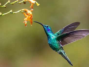 La respuesta sobre el origen de esta idea se encuentra entrelazada entre la rica historia de la cosmovisión mesoamericana. UNSPLASH