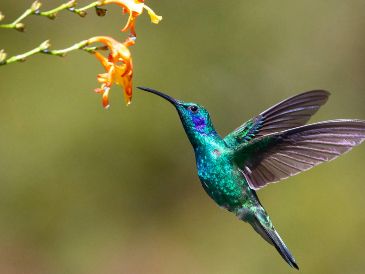 La respuesta sobre el origen de esta idea se encuentra entrelazada entre la rica historia de la cosmovisión mesoamericana. UNSPLASH